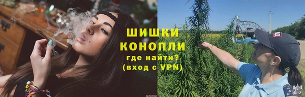 марки lsd Бородино