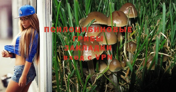 мяу мяу мука Бугульма