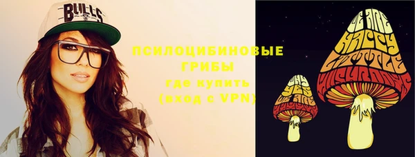 марки lsd Бородино