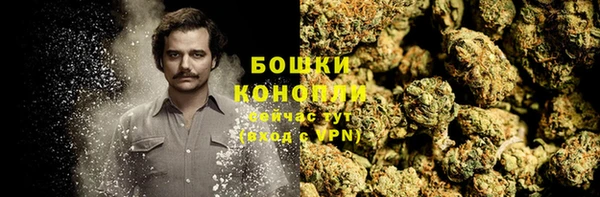 марки lsd Бородино