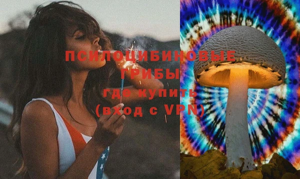 дурь Бронницы