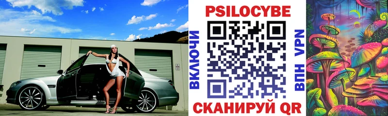 Псилоцибиновые грибы Psilocybine cubensis Самара