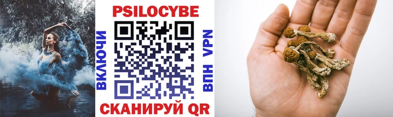 Псилоцибиновые грибы Psilocybe Самара